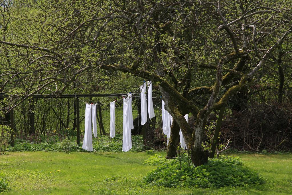 Vemmetofte Praestegard Faxe Exteriér fotografie